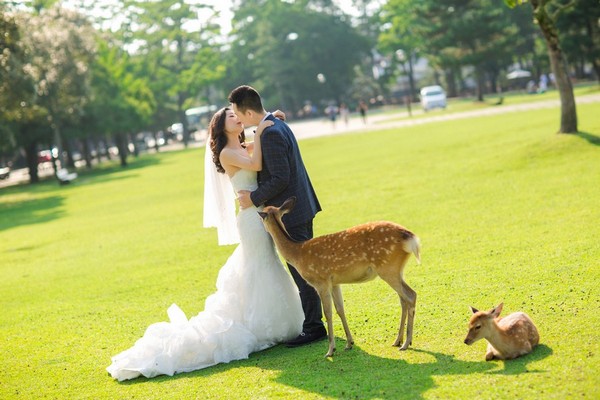 旅拍婚紗,日本婚紗,海外婚紗,奈良拍婚紗,奈良婚紗照